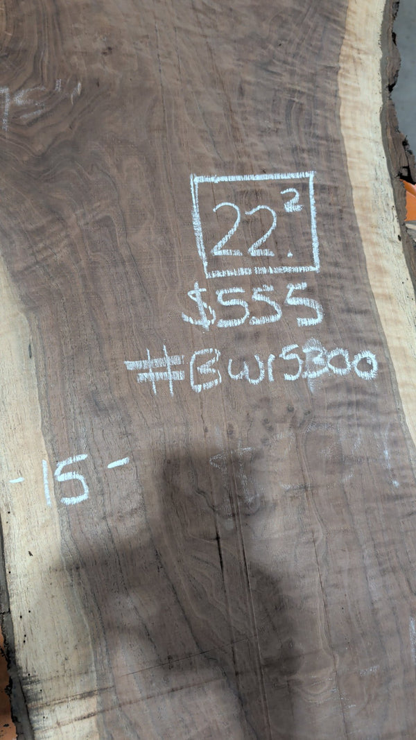 Black Walnut Live Edge Slab #BW15300, 22.2 BF, 109.5 in. Long