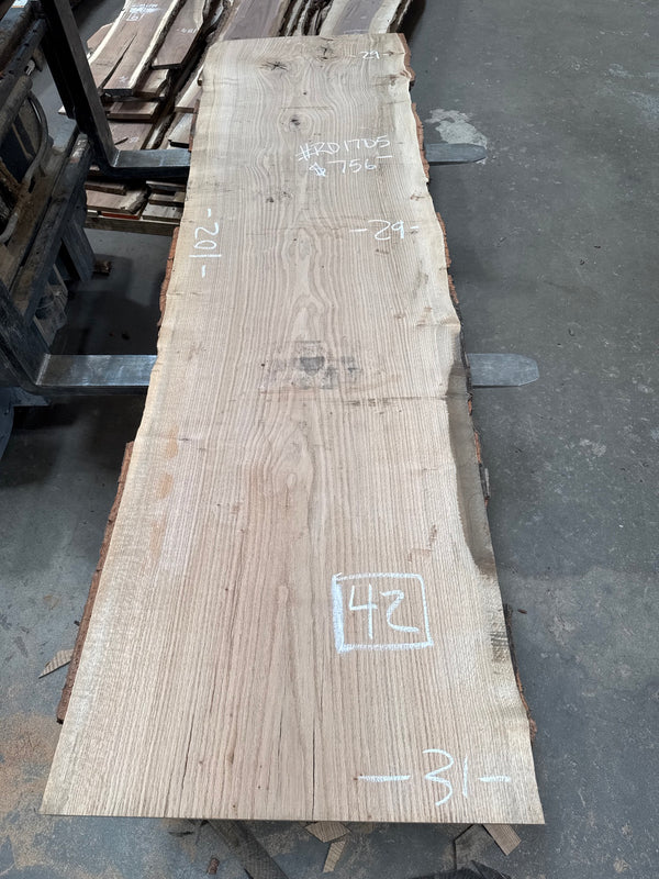 Red Oak live edge slab RO1705 - photo 1