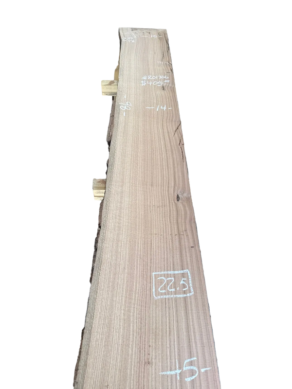 red oak live edge slab #RO1706