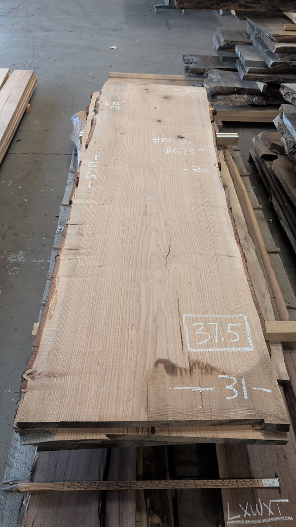 Red Oak Live Edge Slab #RO1701 | 37.5 BDFT | Kiln Dried