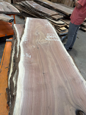 BW1506 black walnut slab, angled view