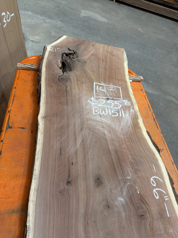 Black Walnut live edge slab #BW1511, angled view