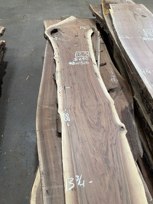 Black Walnut live edge slab #BW1516, chalk markings