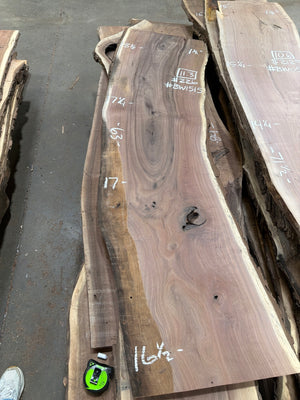 Black Walnut live edge slab #BW1515, full view