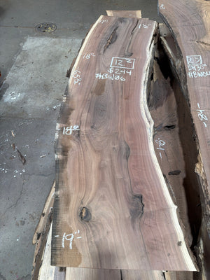BW06 black walnut slab, full view
