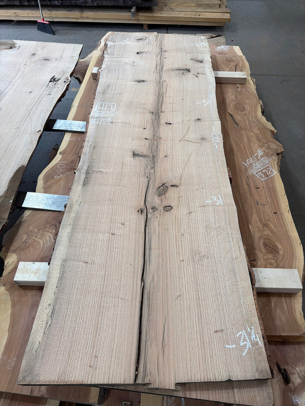 RO1708 red oak slab, full view