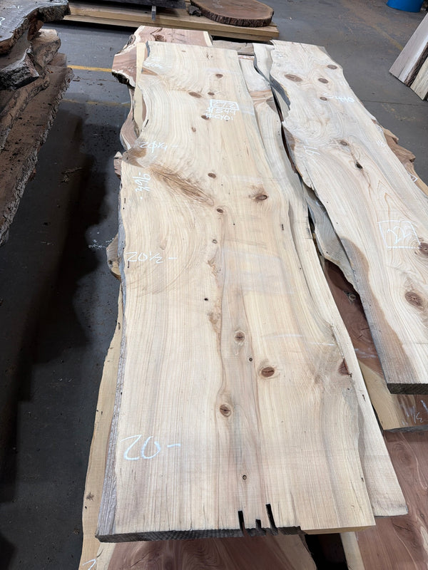 CY01 cypress slab, full view