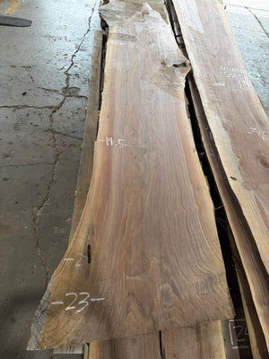 BW1720 black walnut slab, full view