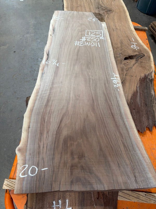 BW011 black walnut slab, full view with chalk markings