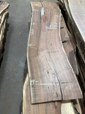 Black Walnut live edge slab #BW1517, full view