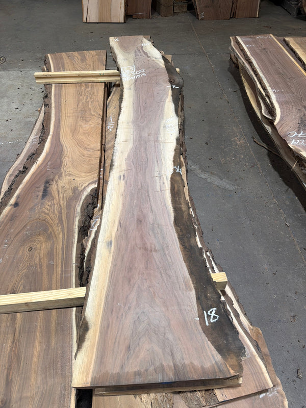 BW1518 black walnut slab, full view