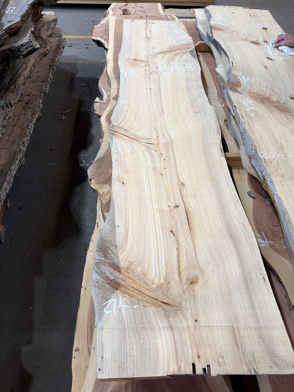 CY02 cypress slab, full view