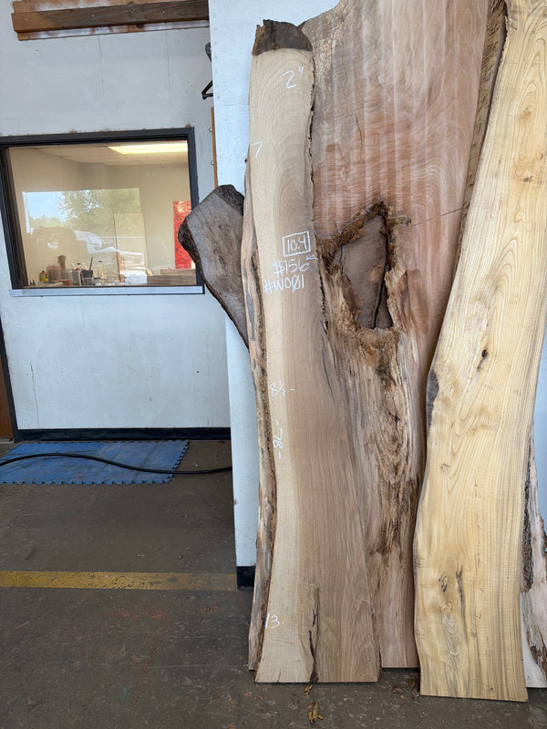 WO01 white oak slab, full view