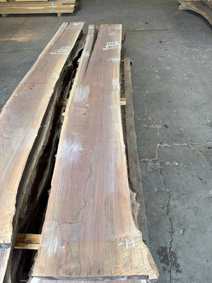 BW1718 black walnut slab, full view
