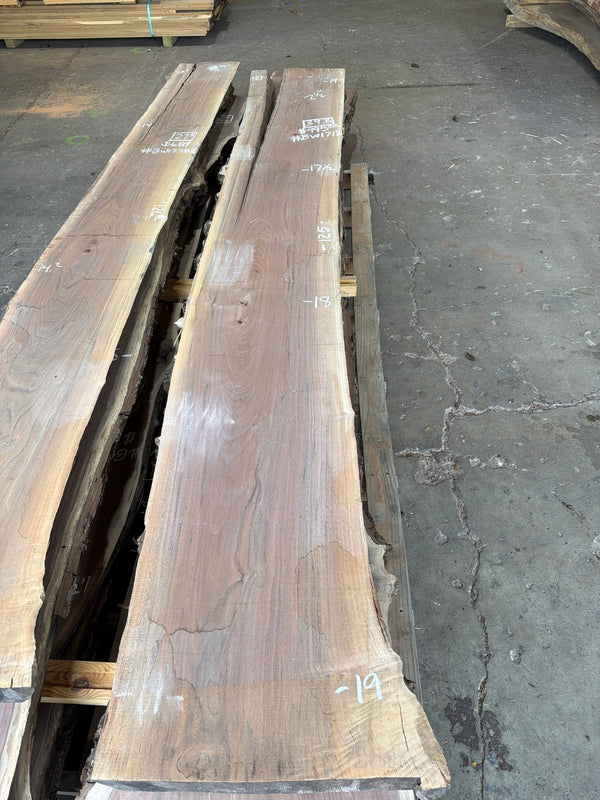 BW1718 black walnut slab, full view