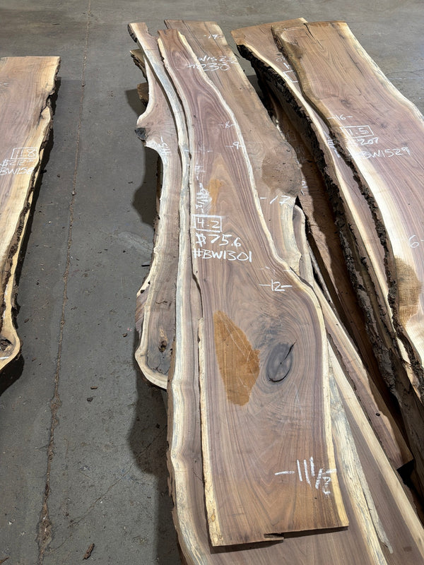 BW1301 black walnut slab, full view