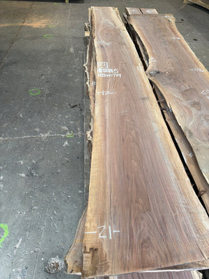 BW1719 black walnut slab, full view