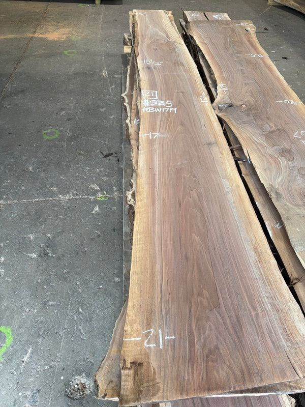 BW1719 black walnut slab, full view
