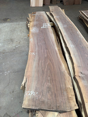 BW1717 black walnut slab, full view