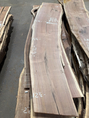 Black Walnut live edge slab #BW05, full view
