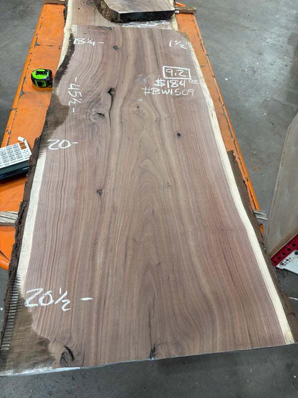 BW1509 black walnut slab, full view