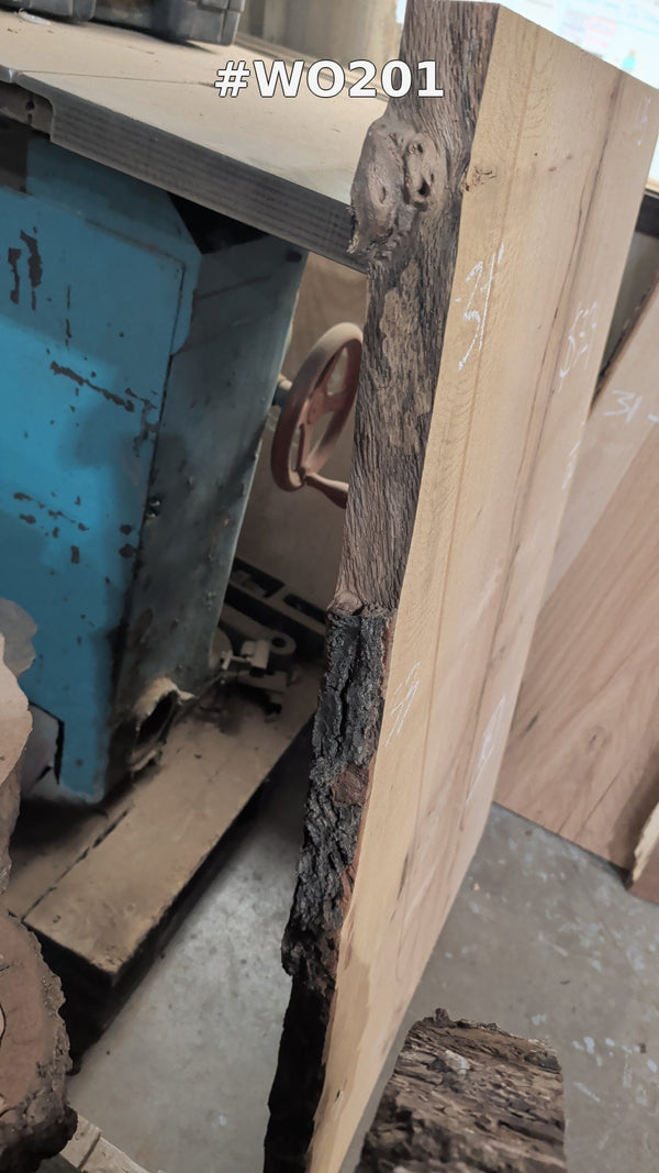 White Oak Live Edge Slab #WO201, photo 3